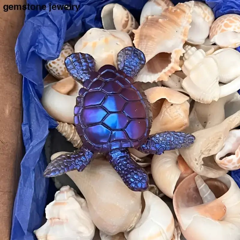Authentic Florida Beach Shells with Decorative Turtle Figure - Bec Sue Jewelry Shop