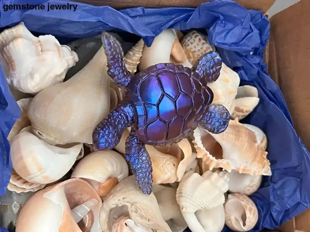 Authentic Florida Beach Shells with Decorative Turtle Figure - Bec Sue Jewelry Shop