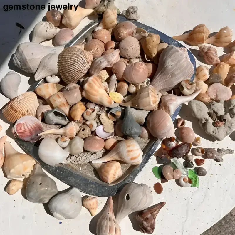 Authentic Florida Beach Shells with Decorative Turtle Figure - Bec Sue Jewelry Shop