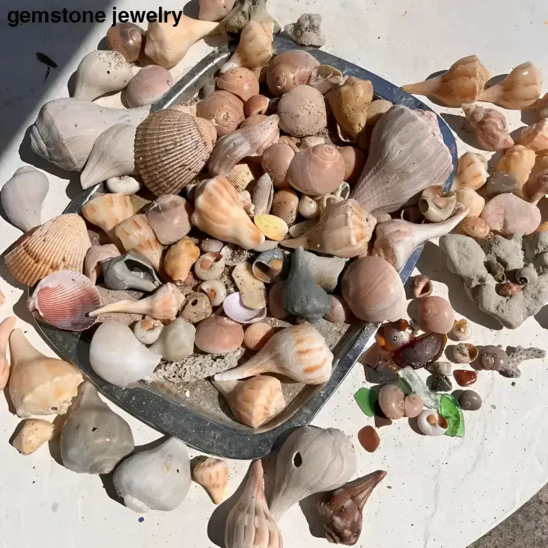 Authentic Florida Beach Shells with Decorative Turtle Figure - Bec Sue Jewelry Shop