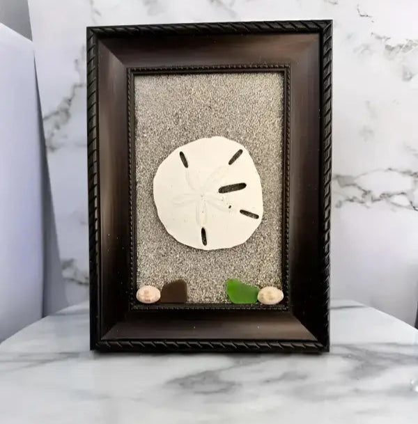 Framed Sand Dollar Decoration for Coastal - Inspired Decor - Bec Sue Jewelry Shop