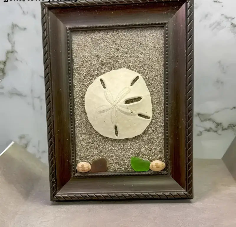 Framed Sand Dollar Decoration for Coastal - Inspired Decor - Bec Sue Jewelry Shop