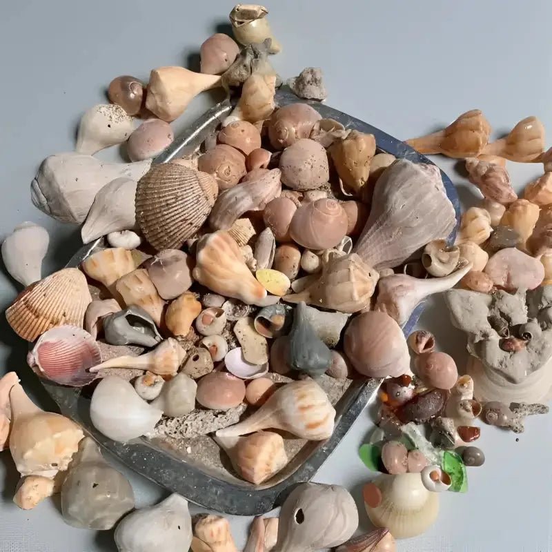 Assorted Gemstones Bowl Perfect for Beach Shell Decor - Bec Sue Jewelry Shop