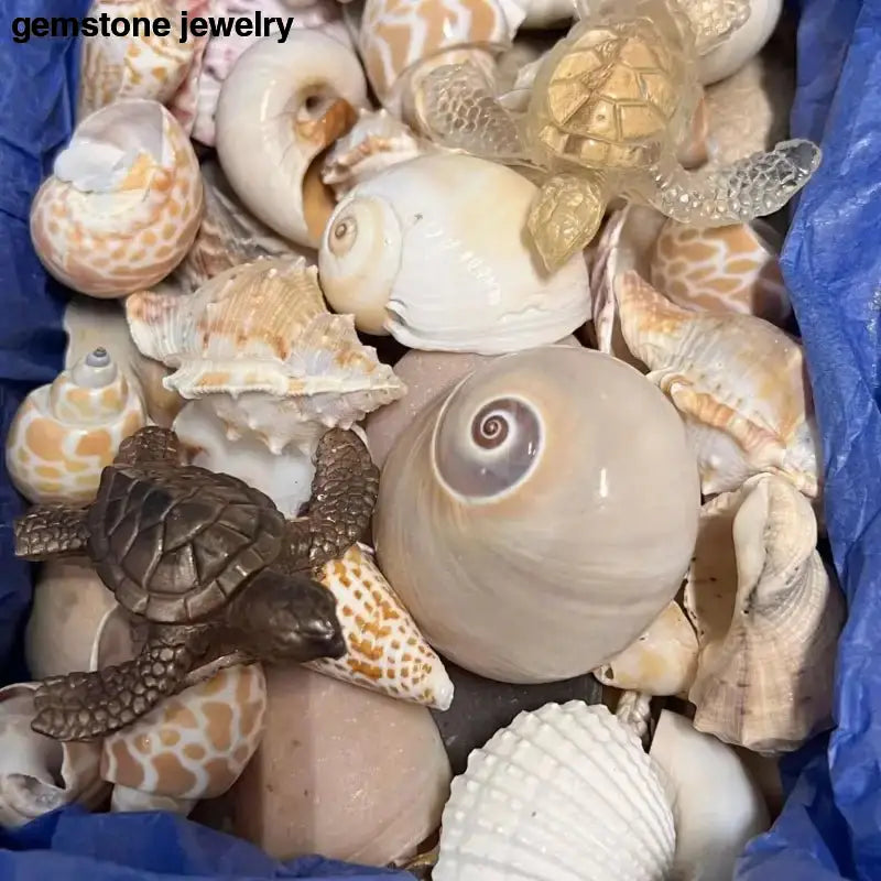 Authentic Florida Beach Shells with Decorative Turtle Figure - Bec Sue Jewelry Shop