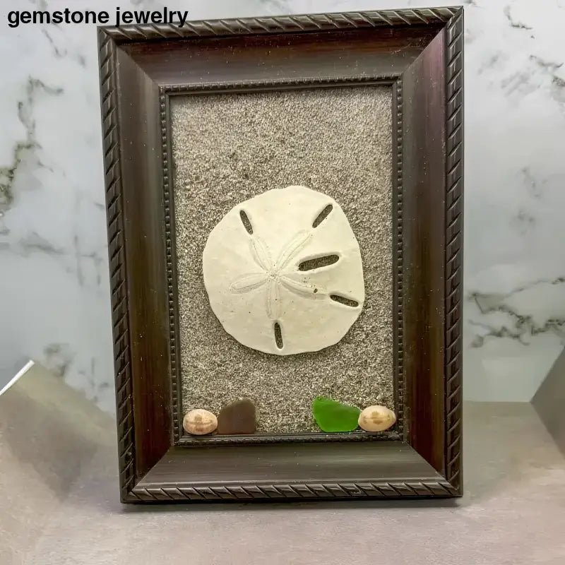 Framed Sand Dollar Decoration for Coastal - Inspired Decor - Bec Sue Jewelry Shop